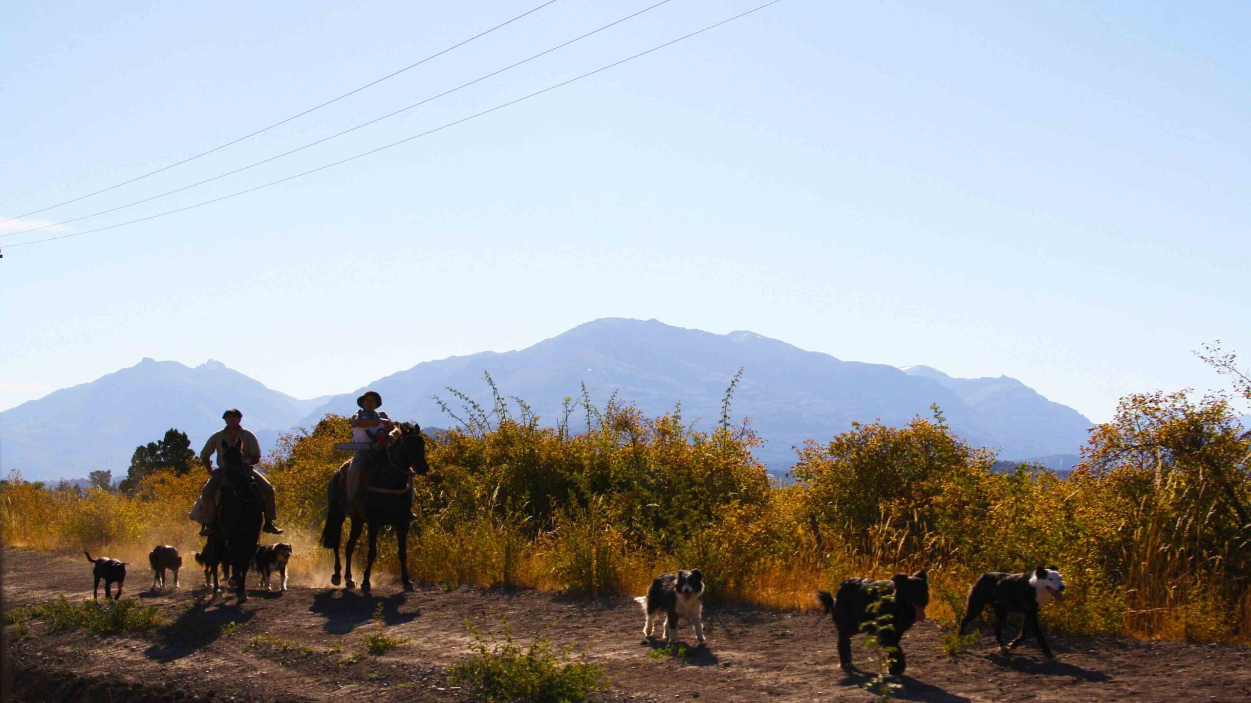 gauchos with dogs carretera austral