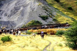 Gauchos torres del paine on their horses