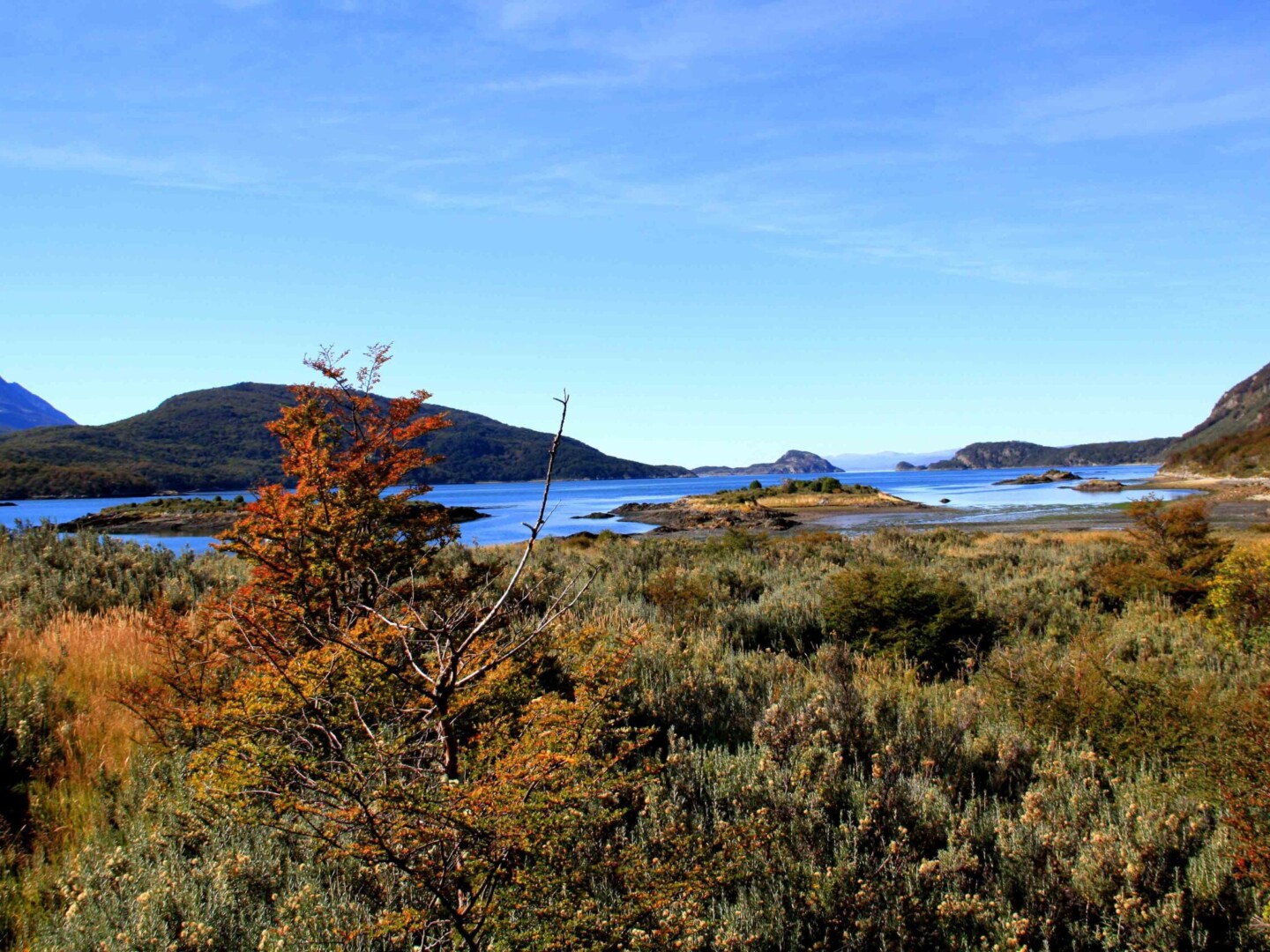 ushuaia tierra del fuego fall colors