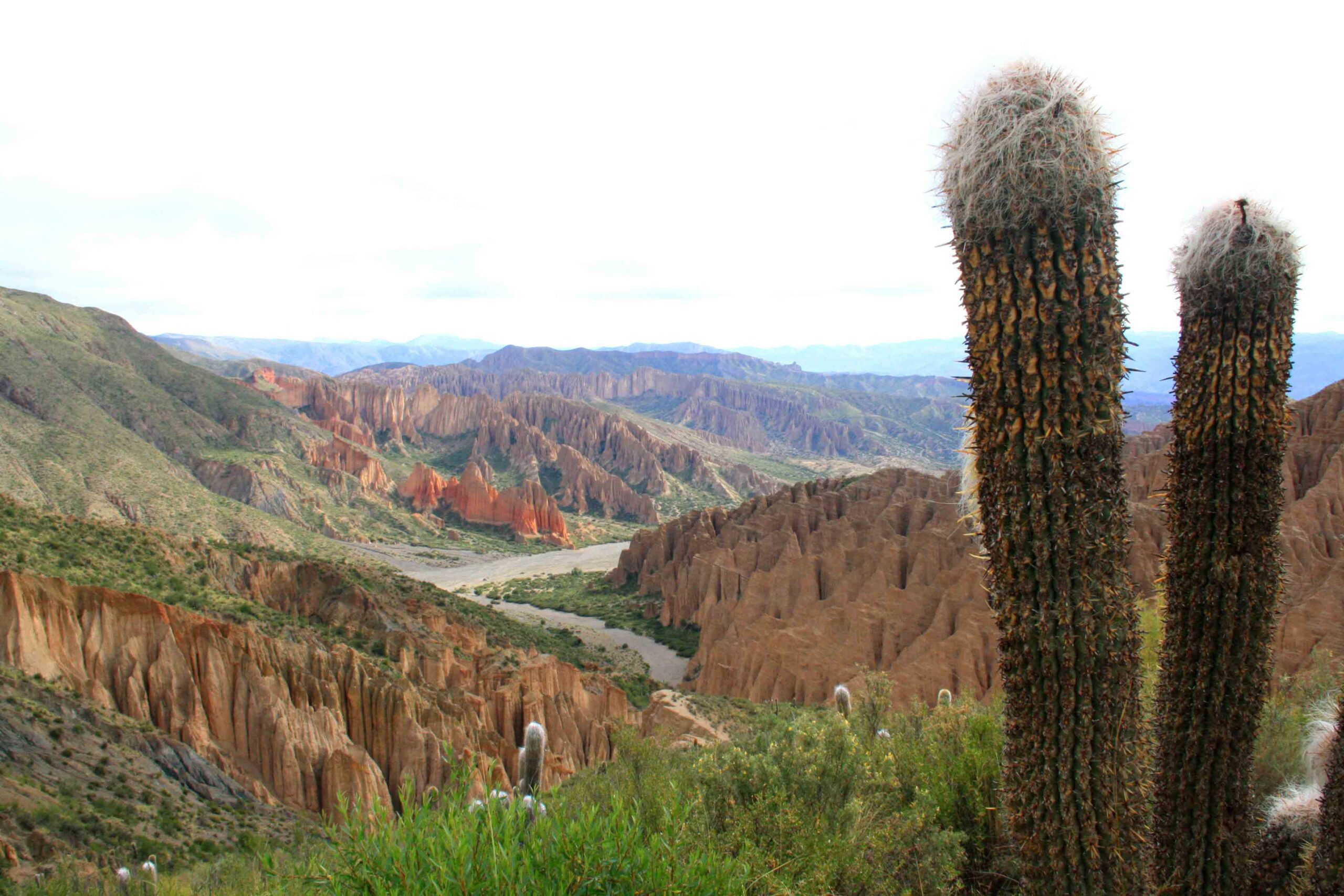 Coloured mountains and cactus in Tupiza Bolivia