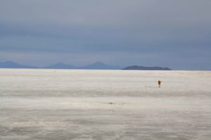 Dog on the Uyuni salt flats in Bolivia