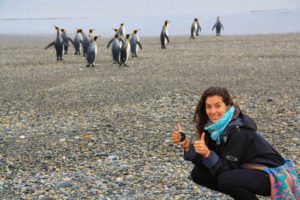 Pinguins at Porvenir Beach in Argentina