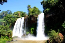 Rainforest and waterfalls at Iguazu in Argentina
