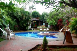 swimmingpool mango chill hostel