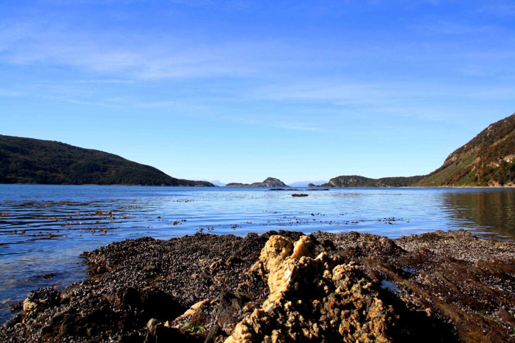 tierra del fuego lake seashells