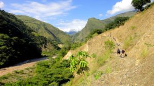 trekking inca jungle trail view