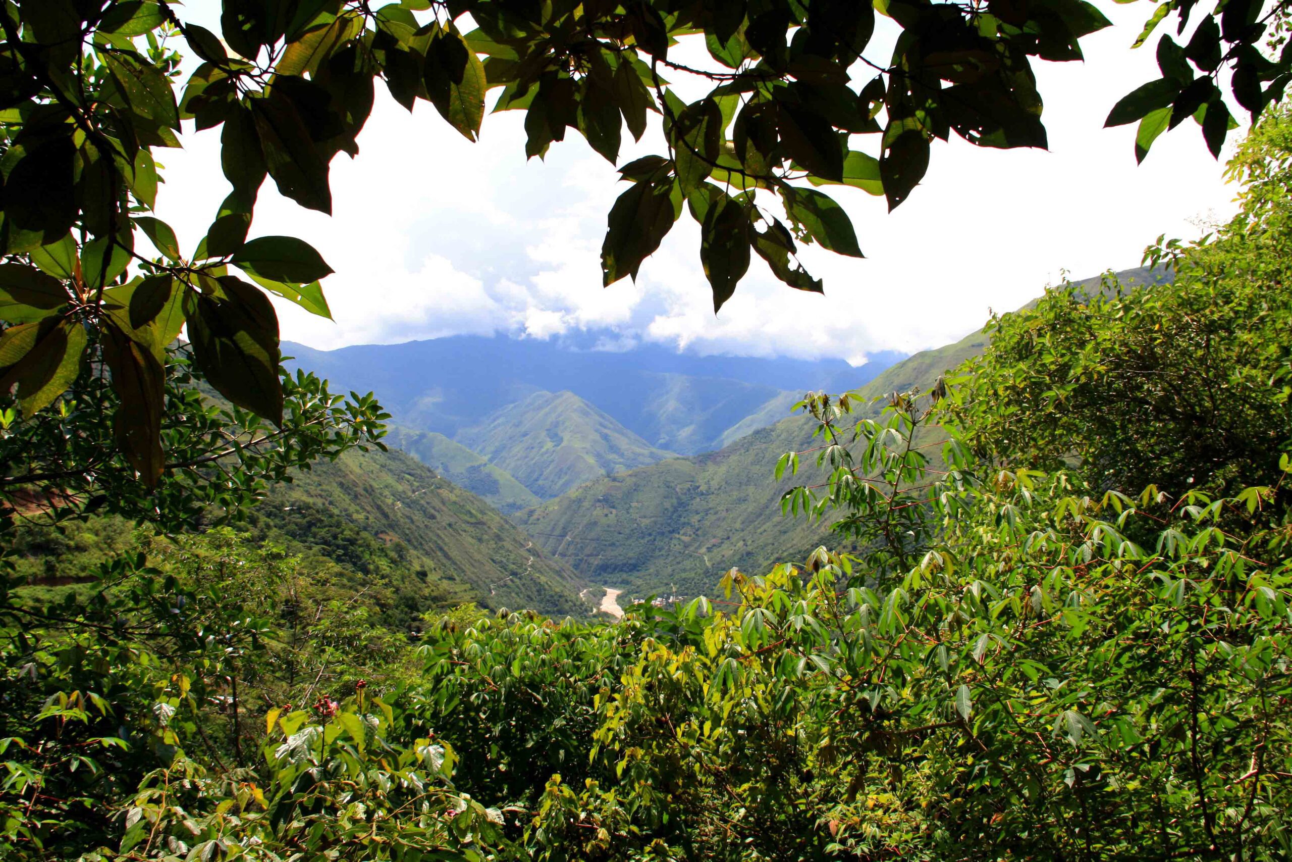 inca jungle trail view