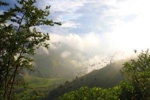 valle del cocora view in Salento Colombia