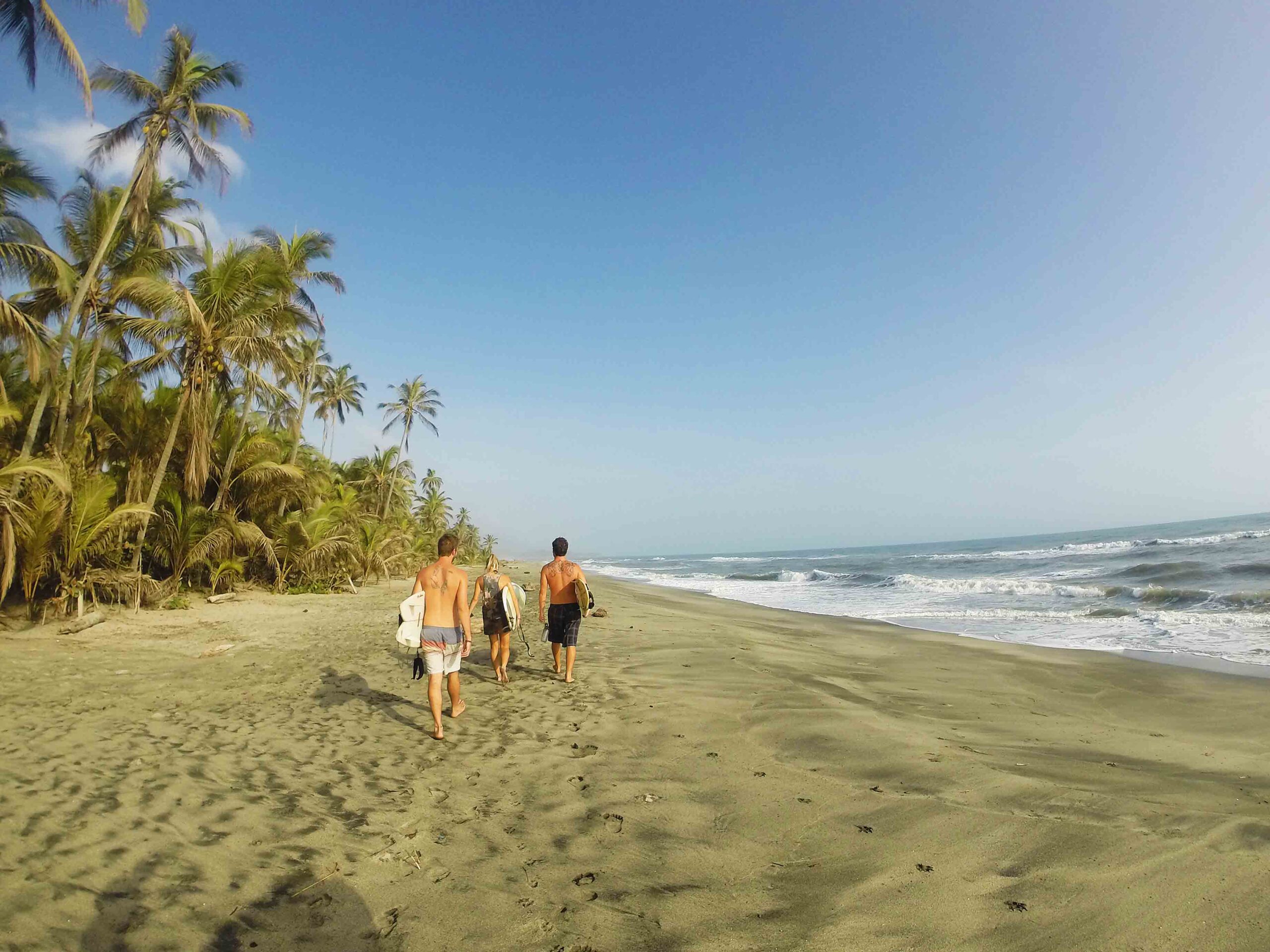 surf destination costeno beach palmtrees colombia
