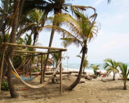 costeno beach surf destinations hammocks colombia