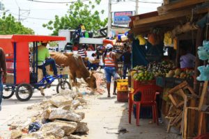 Chaos at the market of Uribia