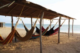 sleeping in hammocks on the beach