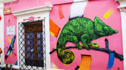 bogota street art tour through la candelaria