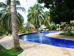 Dreamers hostel swimming pool palomino