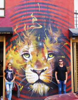 lion street art tour bogota