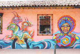 street art on a shop in bogota