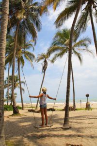 swing at La Sirena Palomino