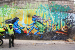streetart in the favelas of medellin