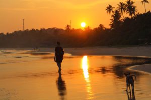 sunset walks dogs talalla beach sri lanka