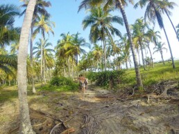 costeno beach surfing coconut plantation colombia