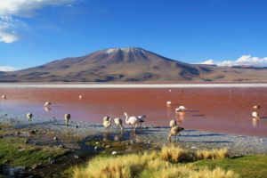 laguna colorado salt flats tour uyuni bolivia
