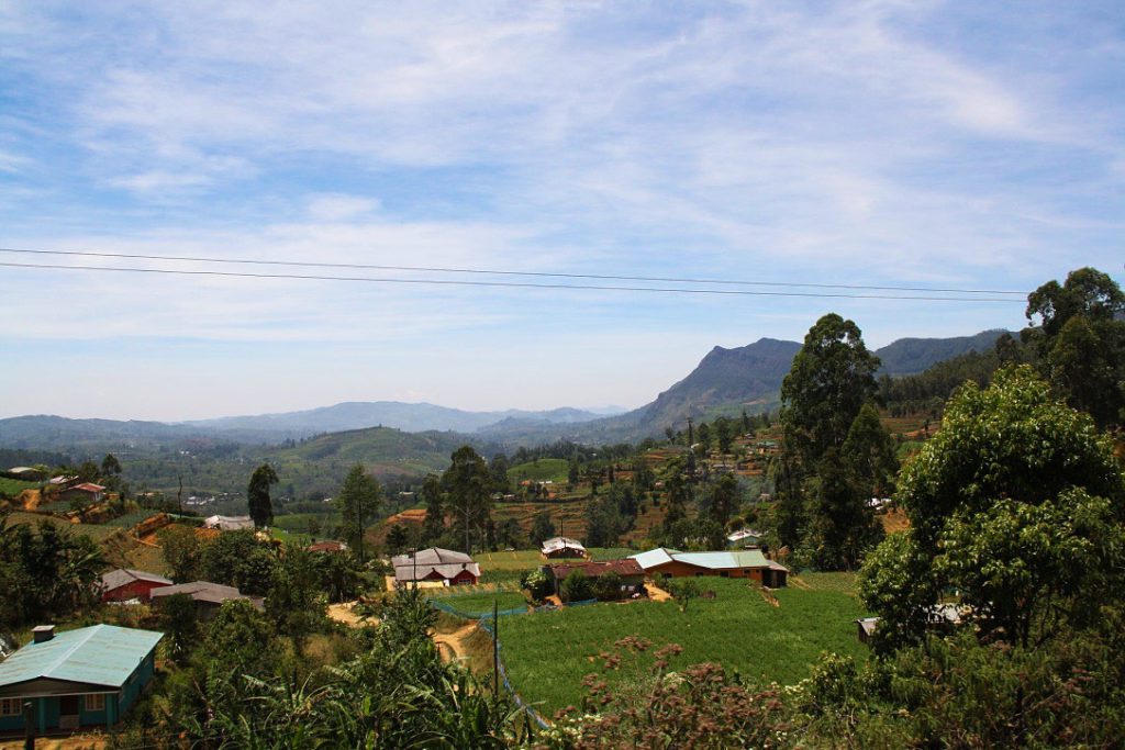 A Sri Lankan highlight: the train from Kandy to Ella - Mokum Surf Club