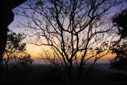 sigiriya rock sunset view trees sri lanka