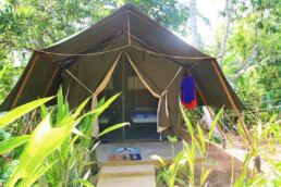 luxury tents accommodation camp poe surf ahangama sri lanka