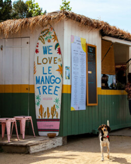 Le Mango Tree restaurant Hossegor