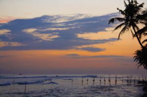 sunset view palmtrees stilt fishermen paradise surfing ahangama sri lanka