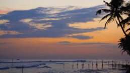 sunset view palmtrees stilt fishermen paradise surfing ahangama sri lanka