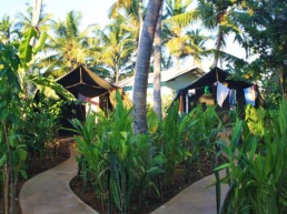 surf camp poe accommodation jungle ahangama sri lanka