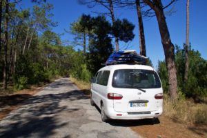 pine woods surftrip serra boa viagem portugal