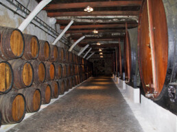 port cellars sandeman tour gaia porto portugal