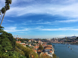 porto view douro river jardins palacio cristal portugal