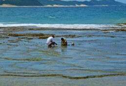 ponta do ouro mozambique fishermen ocean beach