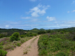 roadtrip in Mozambique Ponta do Ouro