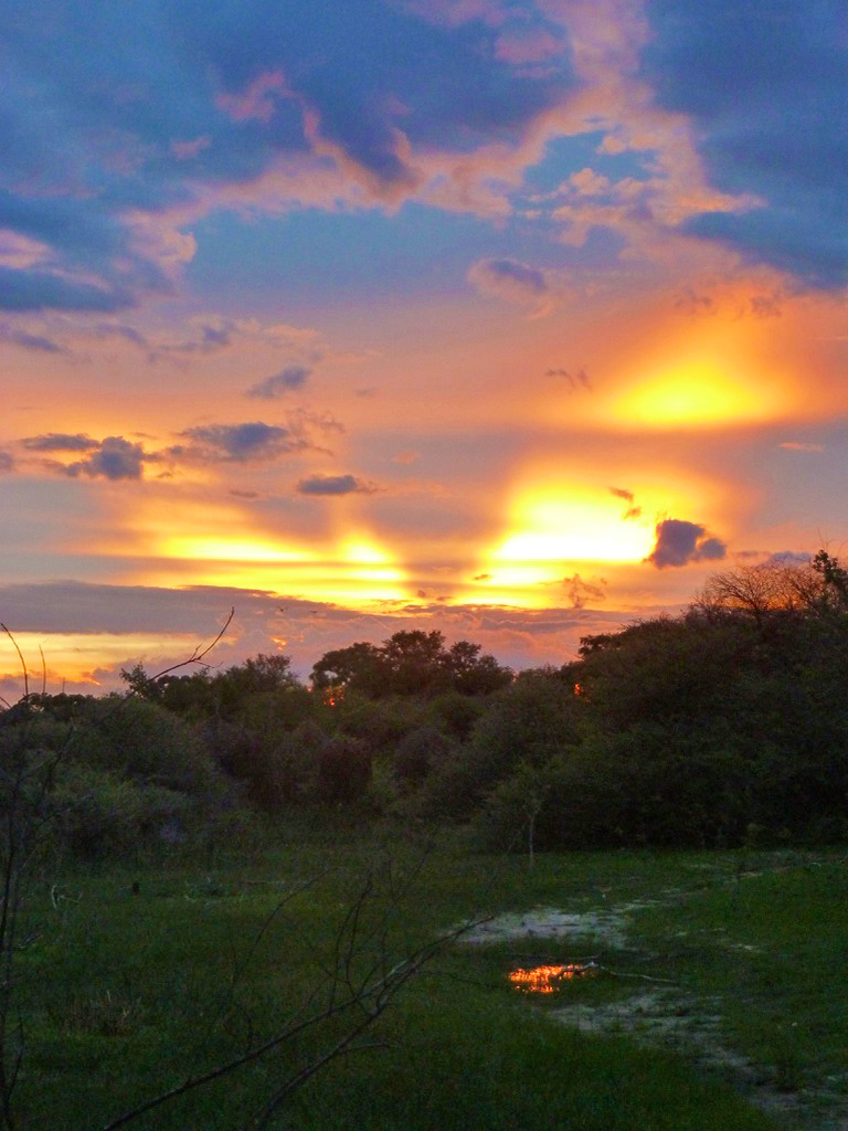 okavango delta sunset sky botswana