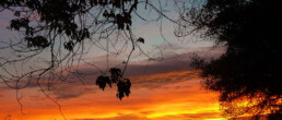 sunset sky okavango delta botswana