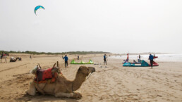 beach kitesurfing windsurfing karma surf retreat essaouira