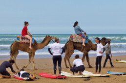 camels beach sidi kaouki surfing lesson karma retreat