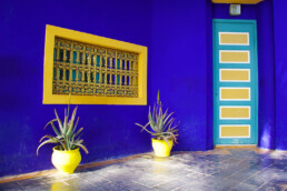 colors jardin majorelle marrakech morocco