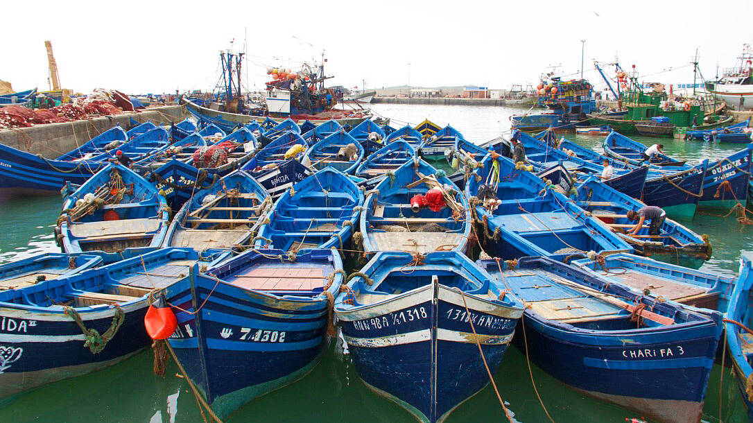 fishing boat essaouira karma surf retreat