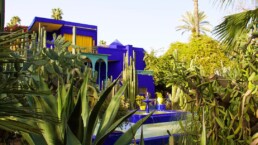garden jardin majorelle marrakech morocco