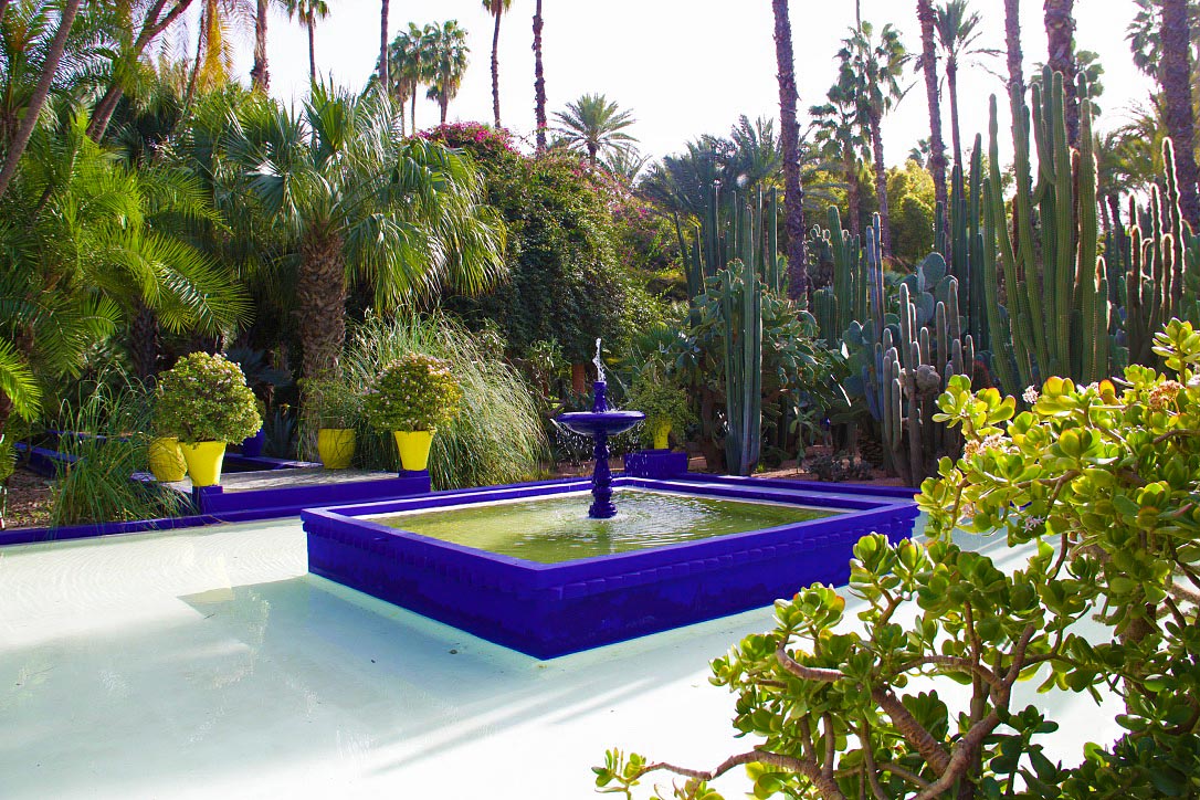 jardin majorelle garden cactus palmtrees marrakech morocco