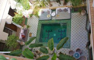 riad yasmine courtyard garden marrakech riads morocco