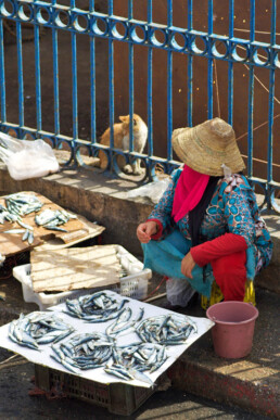 fish market harbour cats essaouira morocco