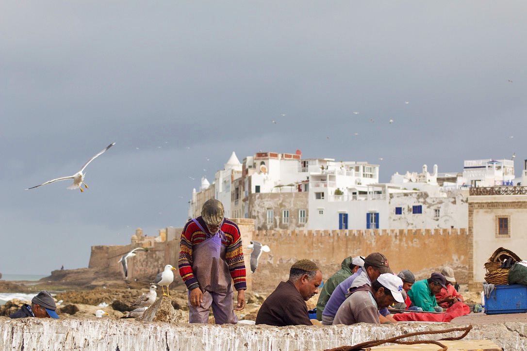 fishermen harbor seagulls essaouira morocco