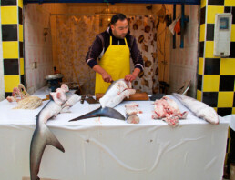 food market fish shark essaouira morocco
