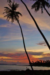 palmtrees sunset view simeulue surf lodges sumatra